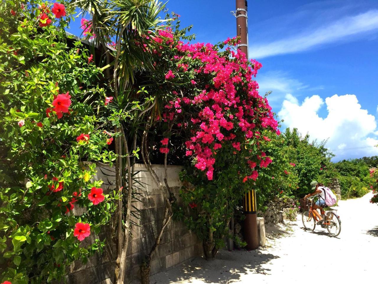 Guesthouse Ho Aloha Ishigaki  Екстериор снимка